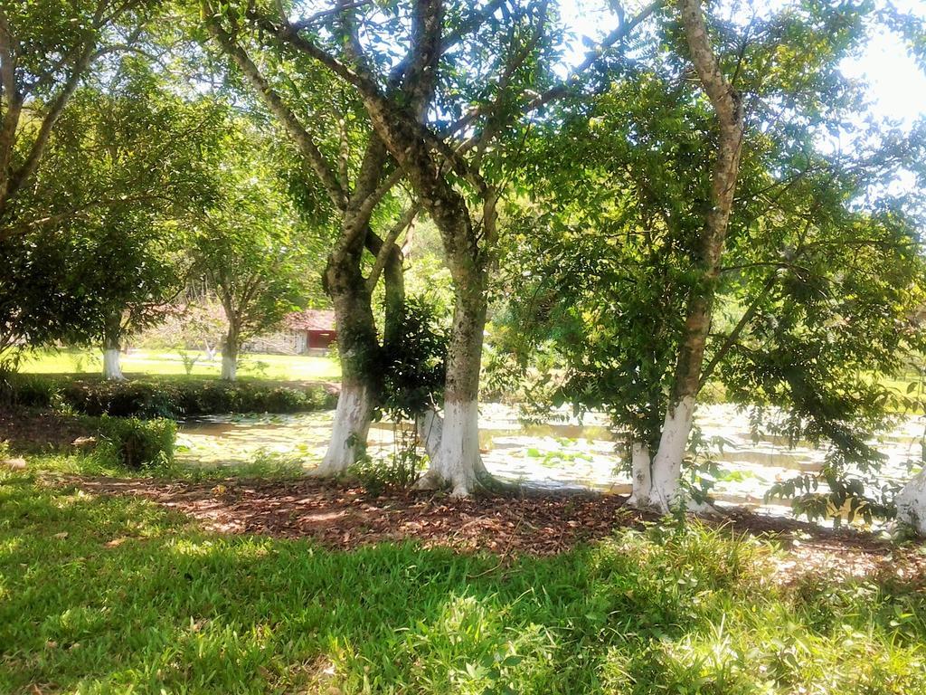 Fazenda Terra Ramos * Papucaia